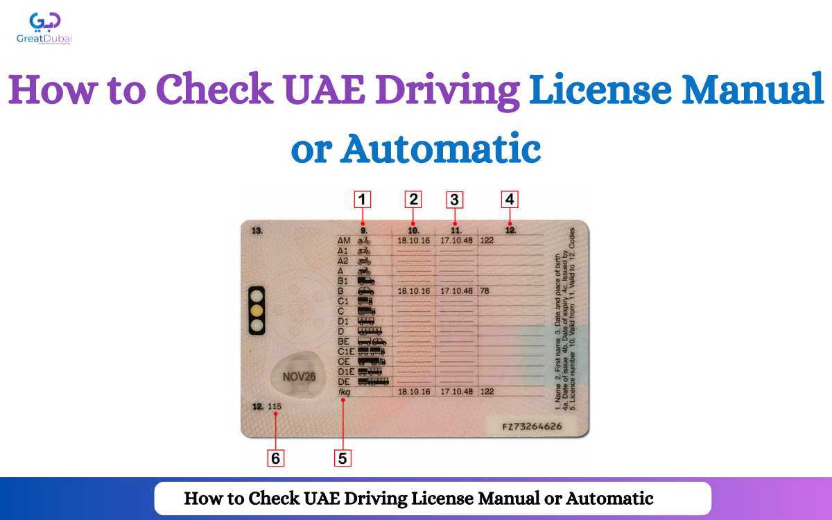 How to Check UAE Driving License Manual or Automatic