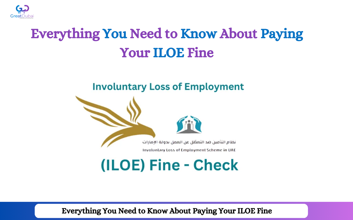 Everything You Need to Know About Paying Your ILOE Fine