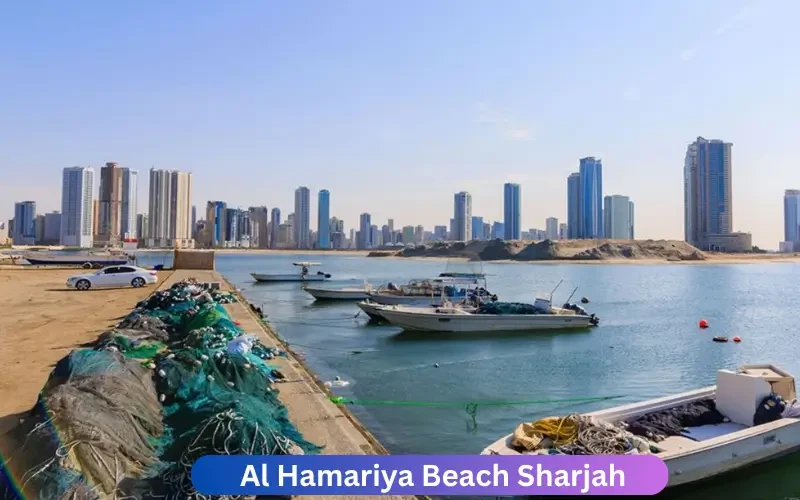 A Complete Guide to Al Hamariya Beach, Sharjah