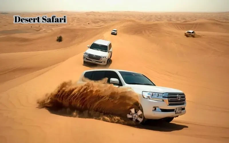 Best Desert Safari Costume Ideas With Rent a car Dubai