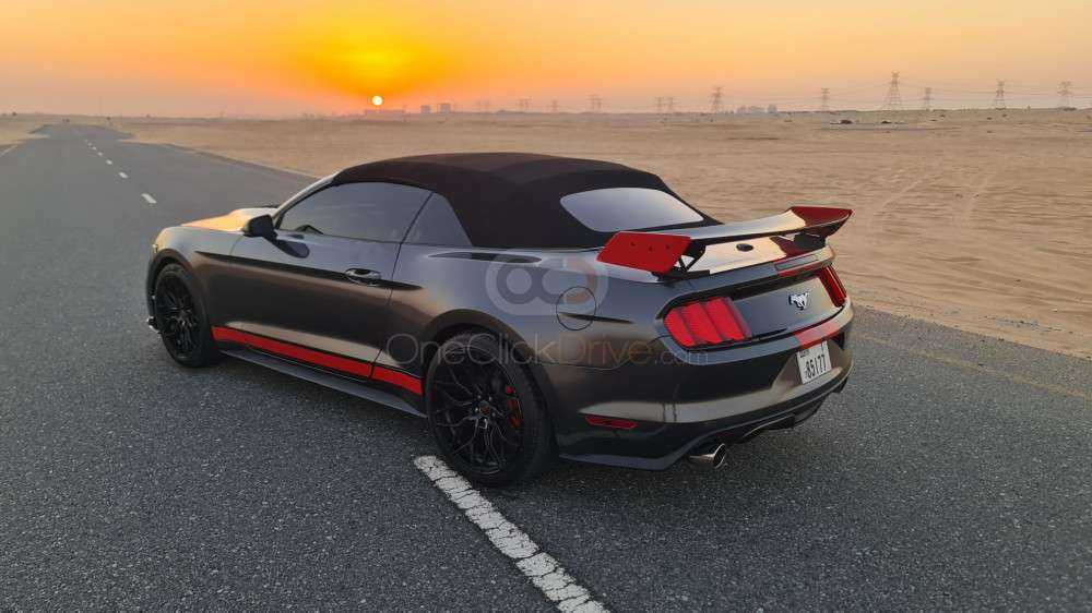 RENT FORD MUSTANG SHELBY GT KIT CONVERTIBLE V4-pic_5