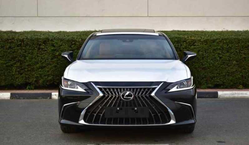 Lexus ES 300h-pic_2