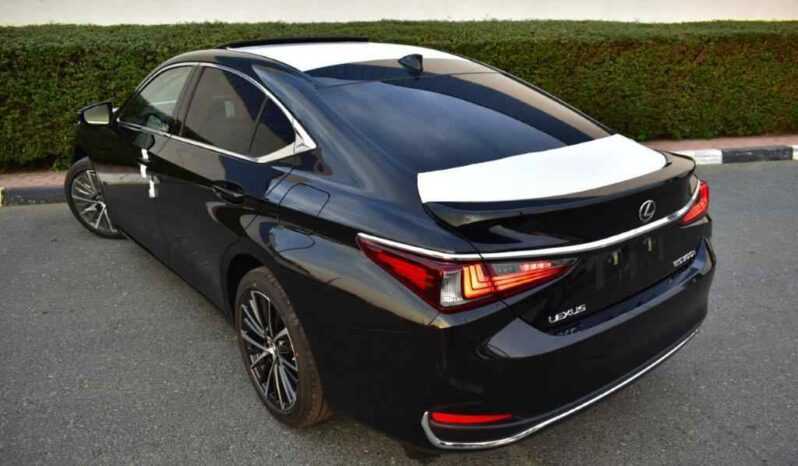 Lexus ES 300h-pic_4