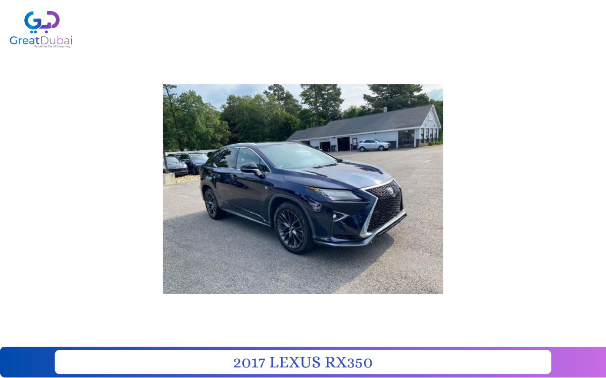 2017 LEXUS RX350-pic_1