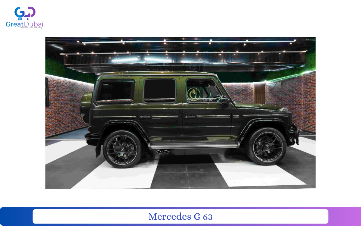 MERCEDES BENZ-pic_1