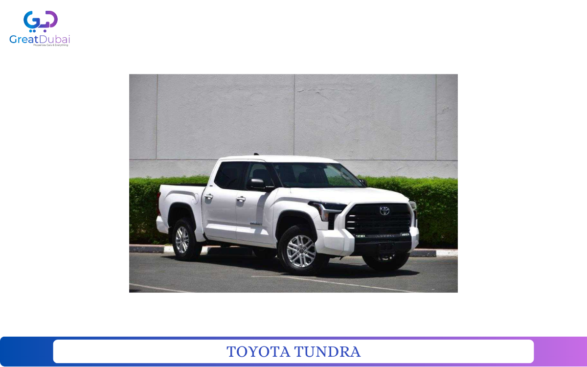 TOYOTA TUNDRA-pic_1