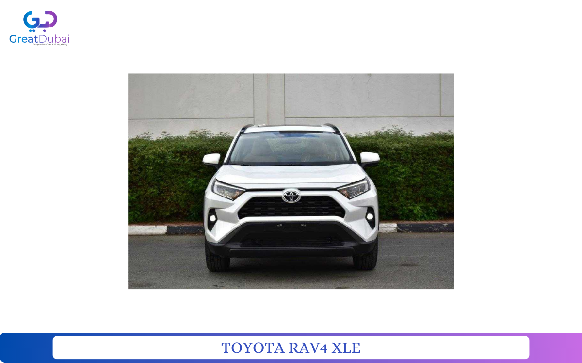 TOYOTA RAV4 XLE-pic_1