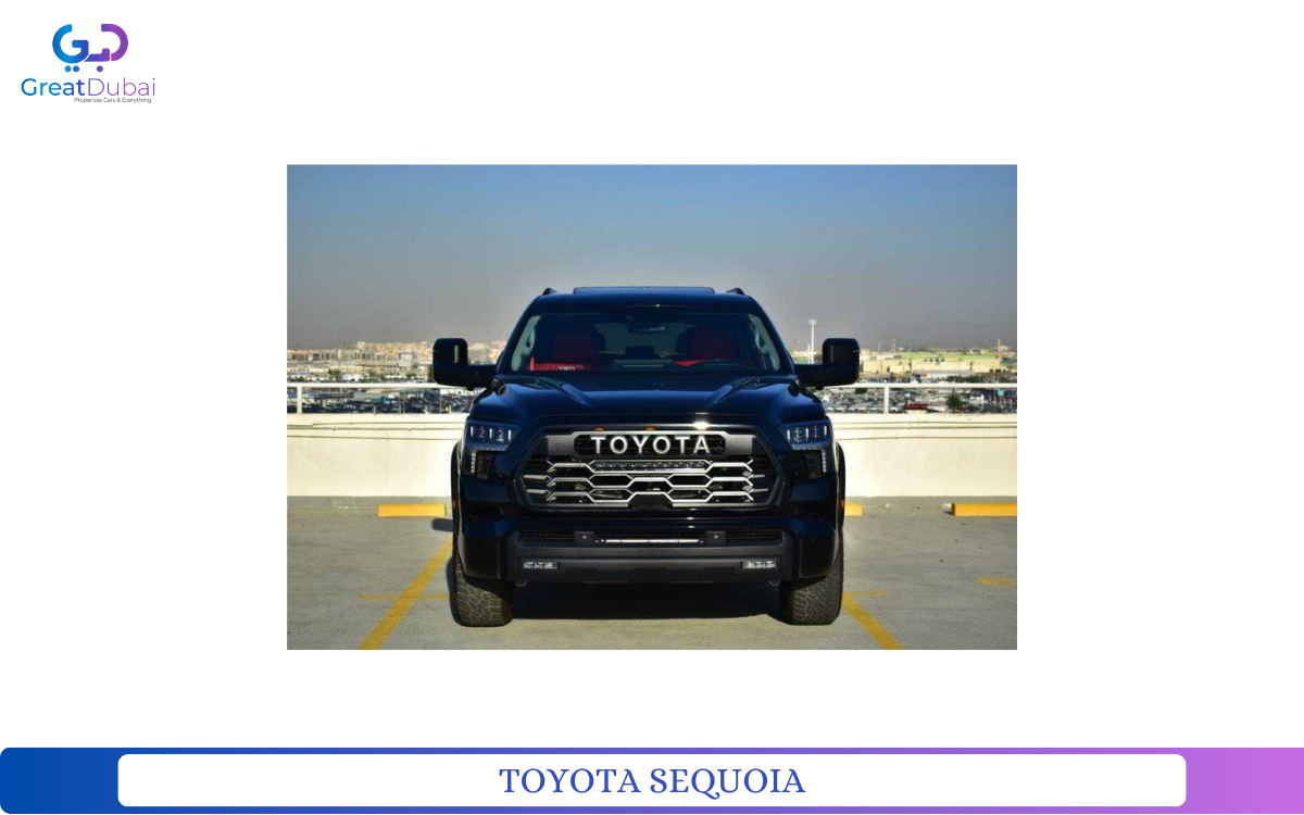 TOYOTA SEQUOIA-pic_1