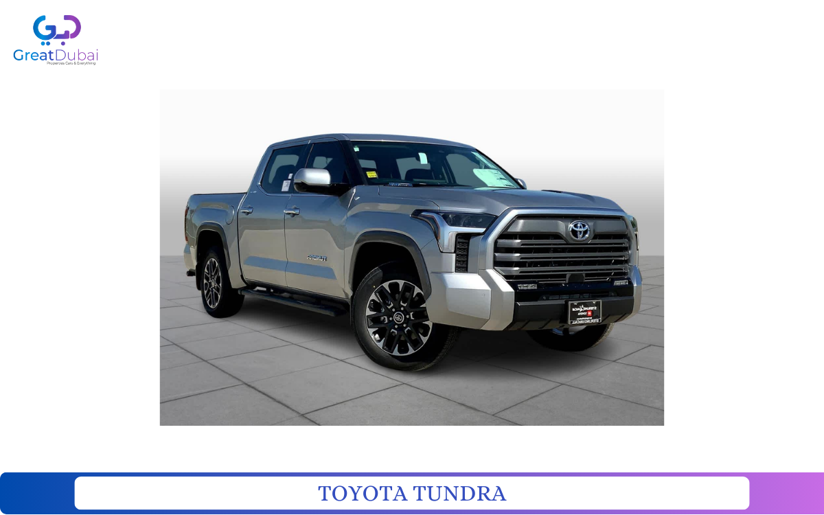 TOYOTA TUNDRA-pic_1