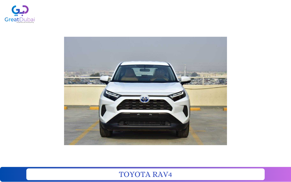 TOYOTA RAV4 HYBRID-pic_1