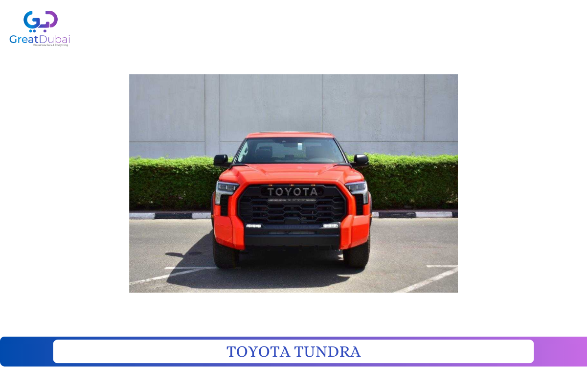 TOYOTA TUNDRA-pic_1