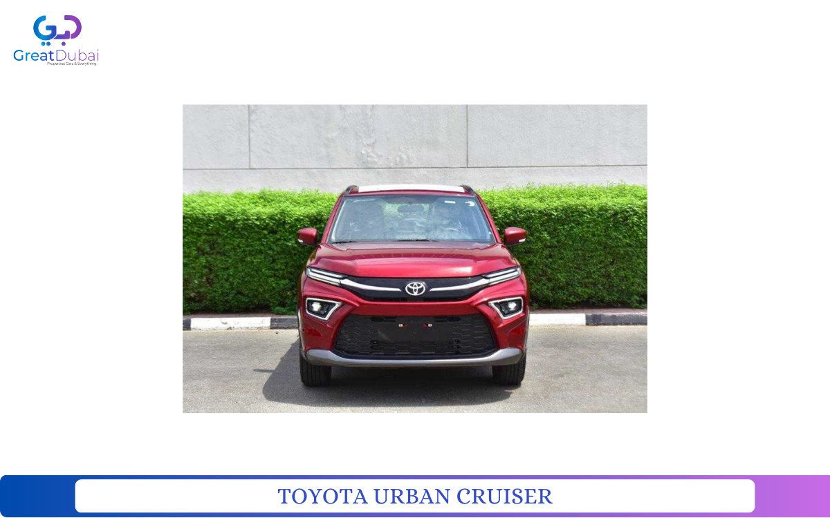 TOYOTA URBAN CRUISER-pic_1