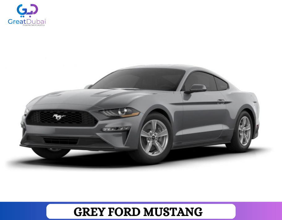 Grey FORD MUSTANG 2020 Rent in Sharjah With Great Dubai-image