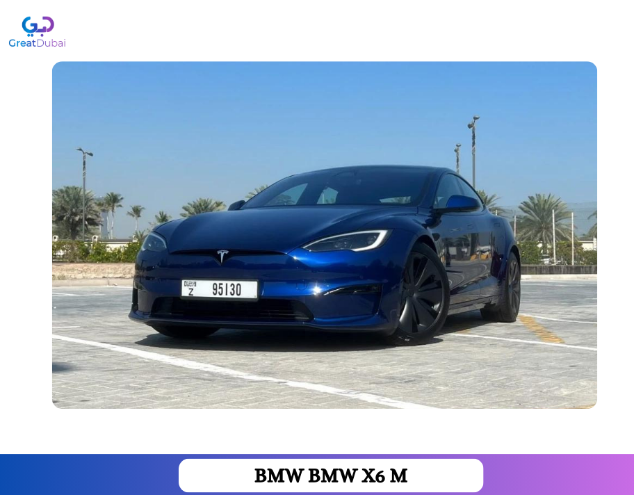 Rent 2023 Tesla Model S Plaid Electric Luxury Sedan-image