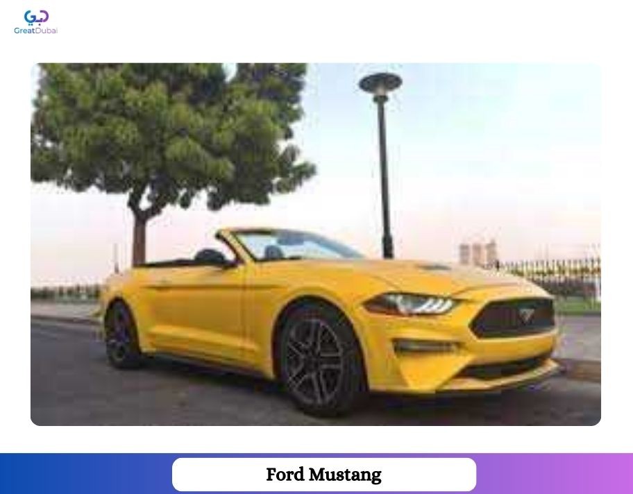 For Rent 2015 Ford Mustang-image