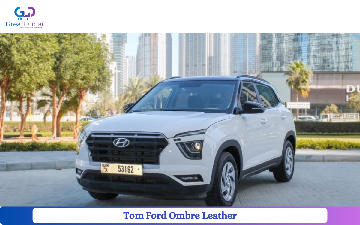 Tom Ford Ombre Leather Rent a Car Dubai-image