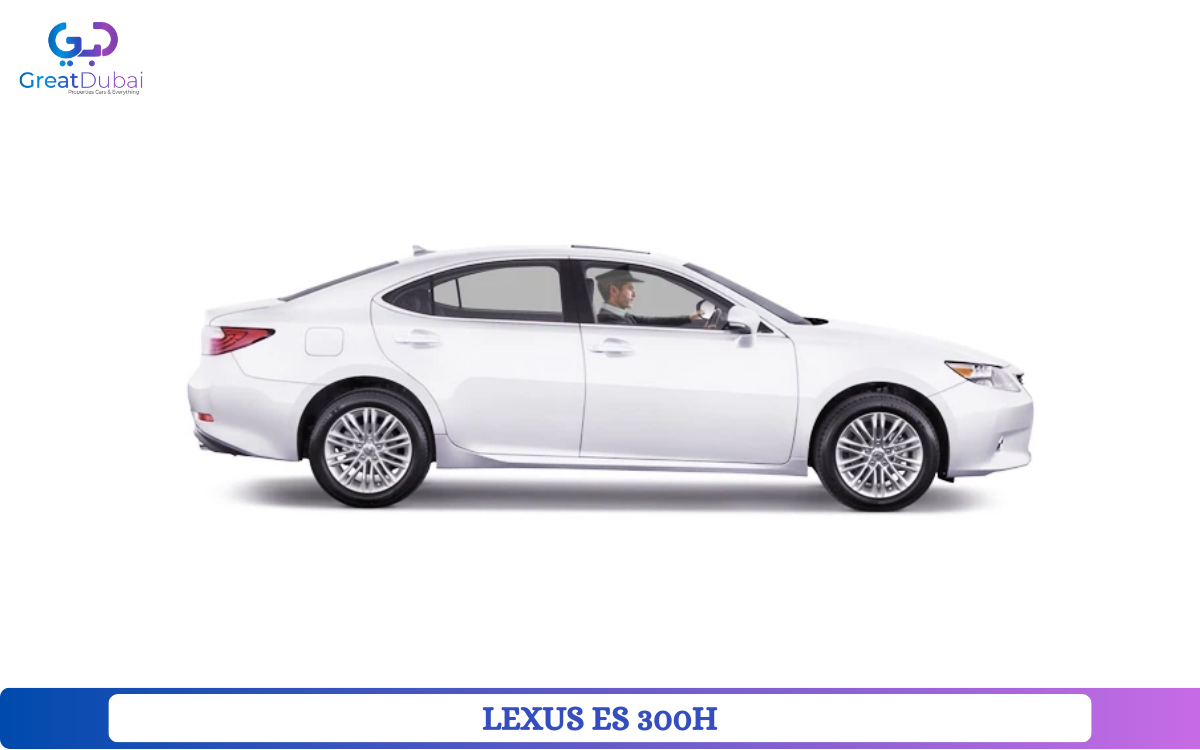 Rent a Lexus Car-image