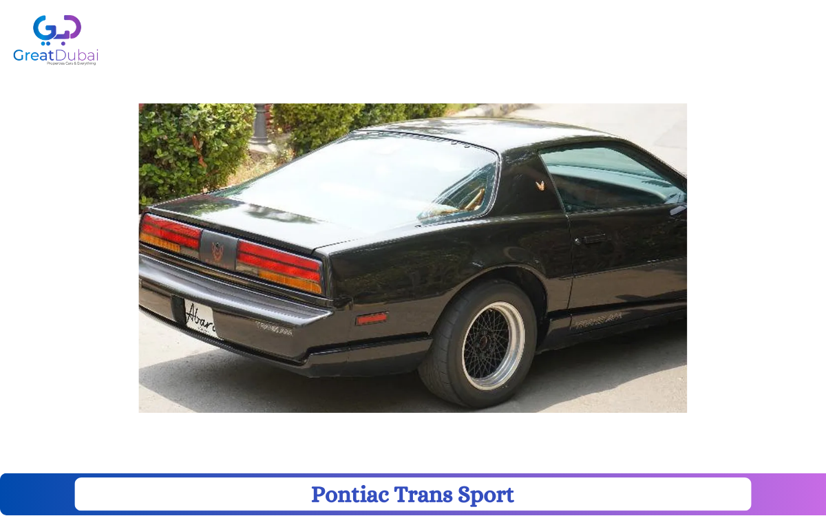 Pontiac Trans Sport 1991 in Dubai-image