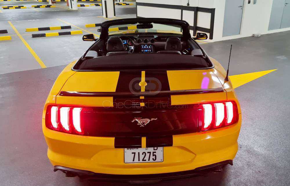 RENT FORD MUSTANG ECOBOOST CONVERTIBLE V4-pic_1