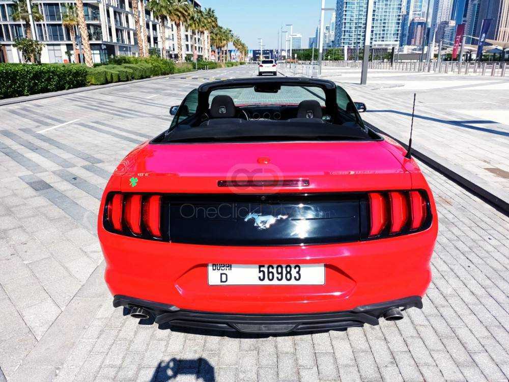 RENT FORD MUSTANG ECOBOOST CONVERTIBLE V4-pic_4