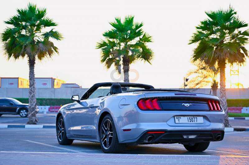 RENT FORD MUSTANG ECOBOOST CONVERTIBLE V4-pic_6