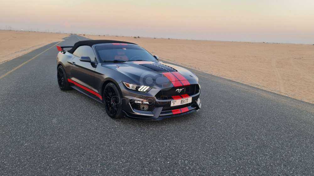 RENT FORD MUSTANG SHELBY GT KIT CONVERTIBLE V4-pic_1