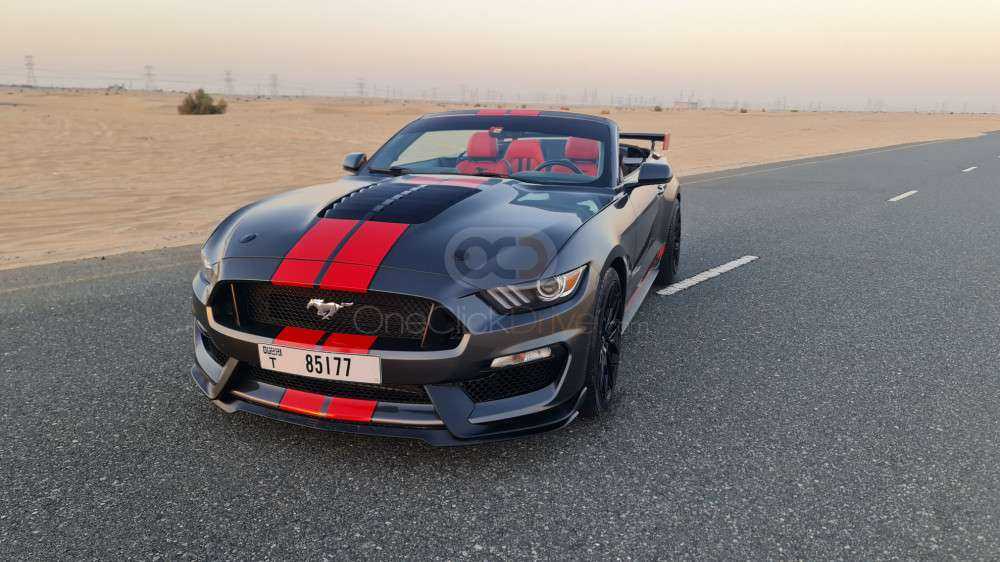 RENT FORD MUSTANG SHELBY GT KIT CONVERTIBLE V4-pic_6