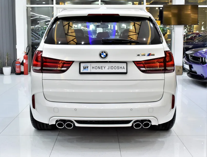 BMW X5 M-pic_3