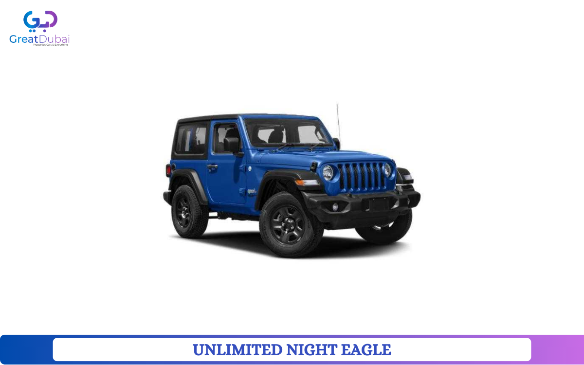 UNLIMITED NIGHT EAGLE-pic_1