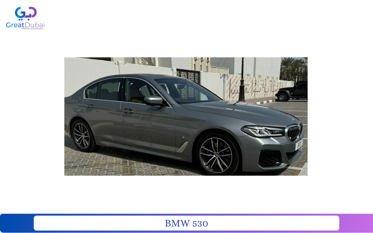 BMW 530-pic_1