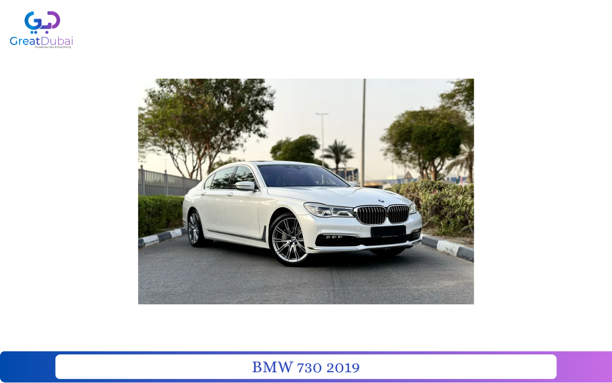 BMW 730 2019 in Dubai-pic_1