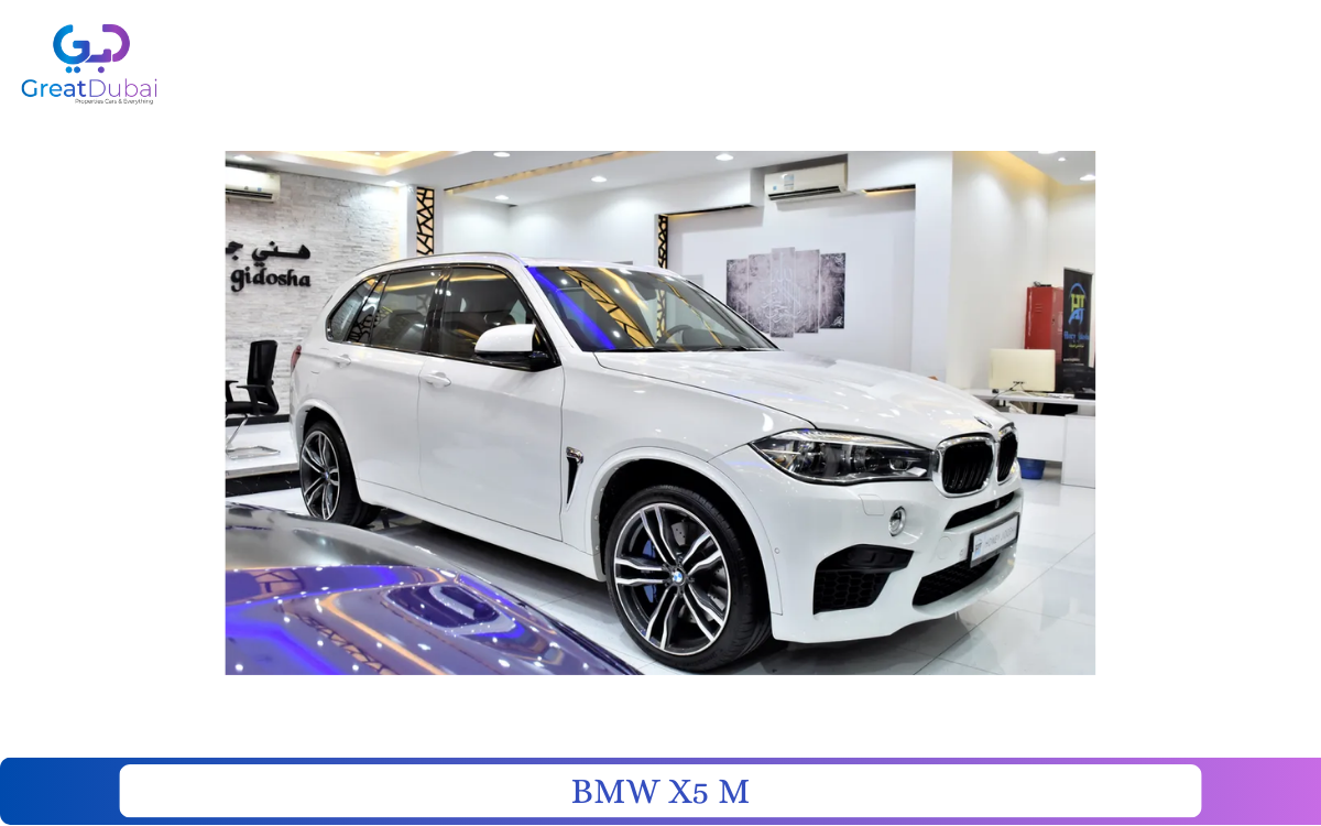 BMW X5 M-pic_1