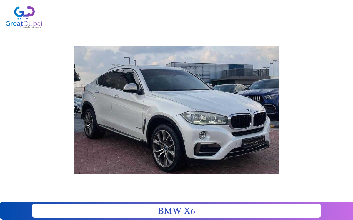 BMW X6-pic_1