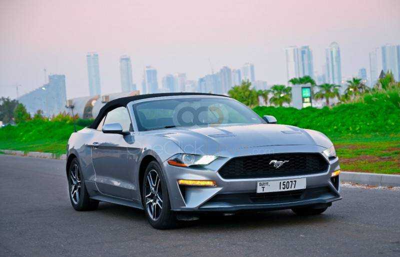 RENT FORD MUSTANG ECOBOOST CONVERTIBLE V4-pic_1