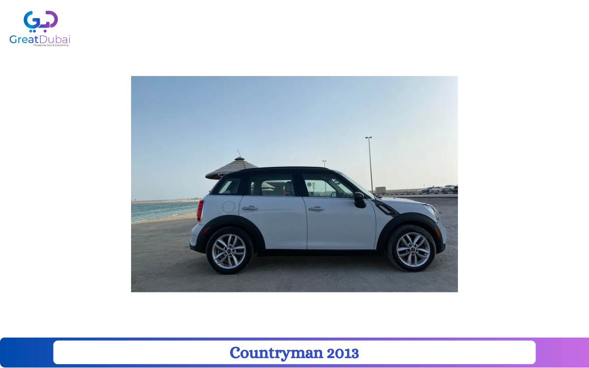 Countryman 2013-pic_1