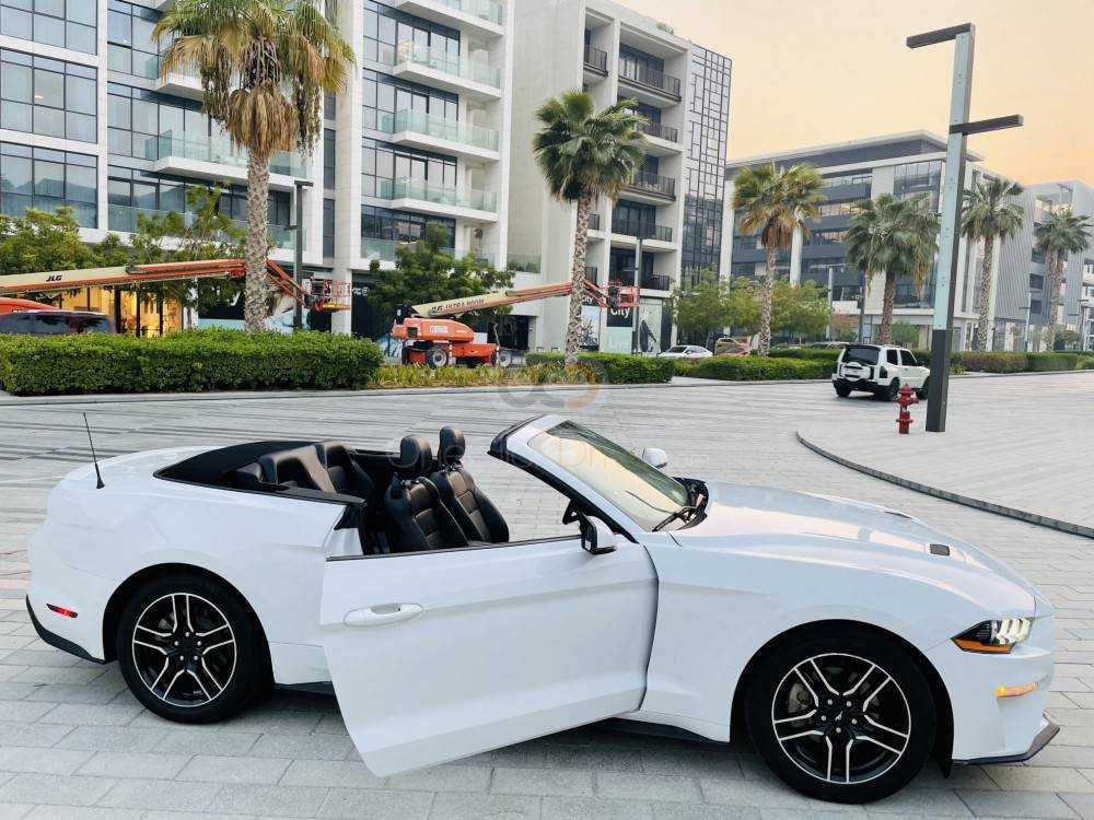 RENT FORD MUSTANG ECOBOOST CONVERTIBLE V4-pic_2