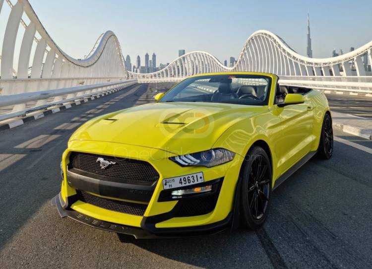 RENT FORD MUSTANG ECOBOOST CONVERTIBLE V4-pic_2