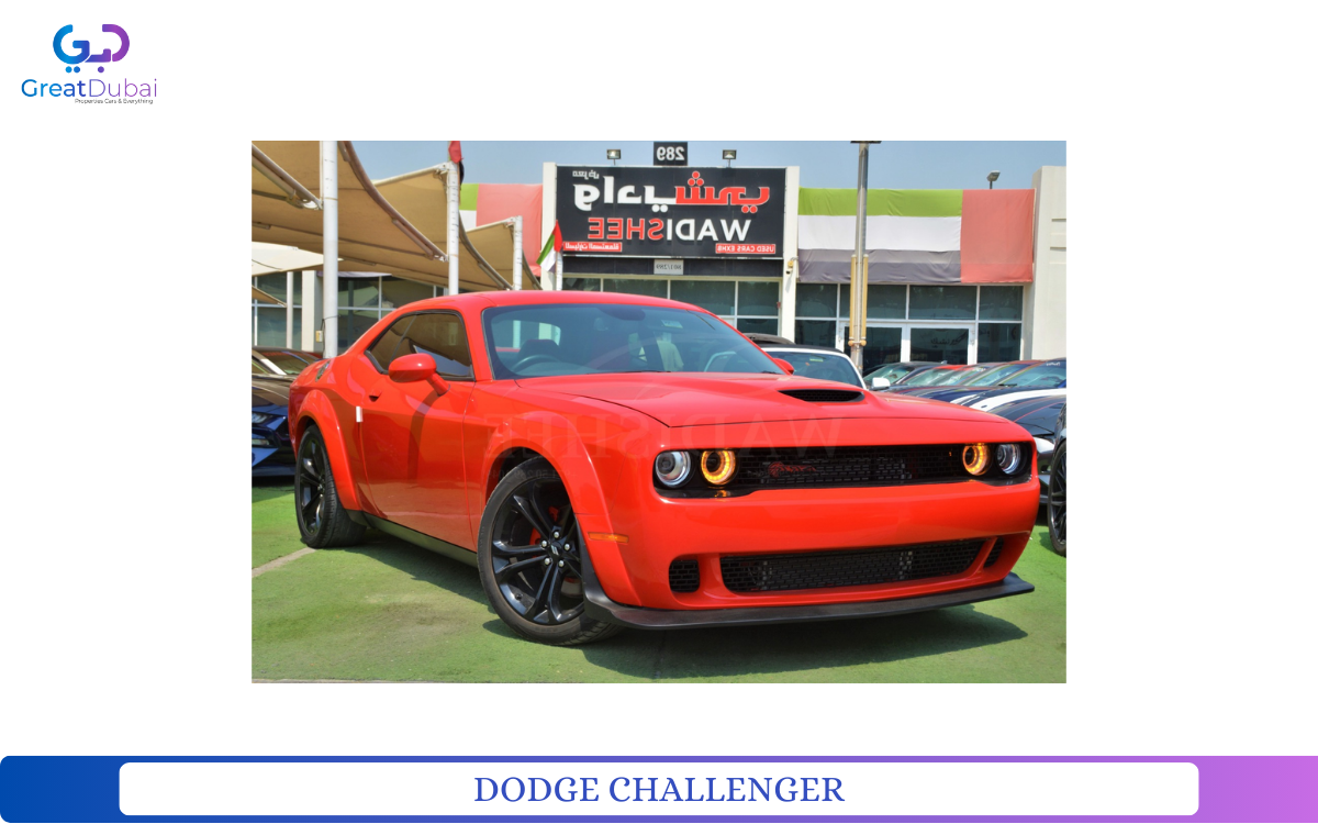 DODGE CHALLENGER-pic_1