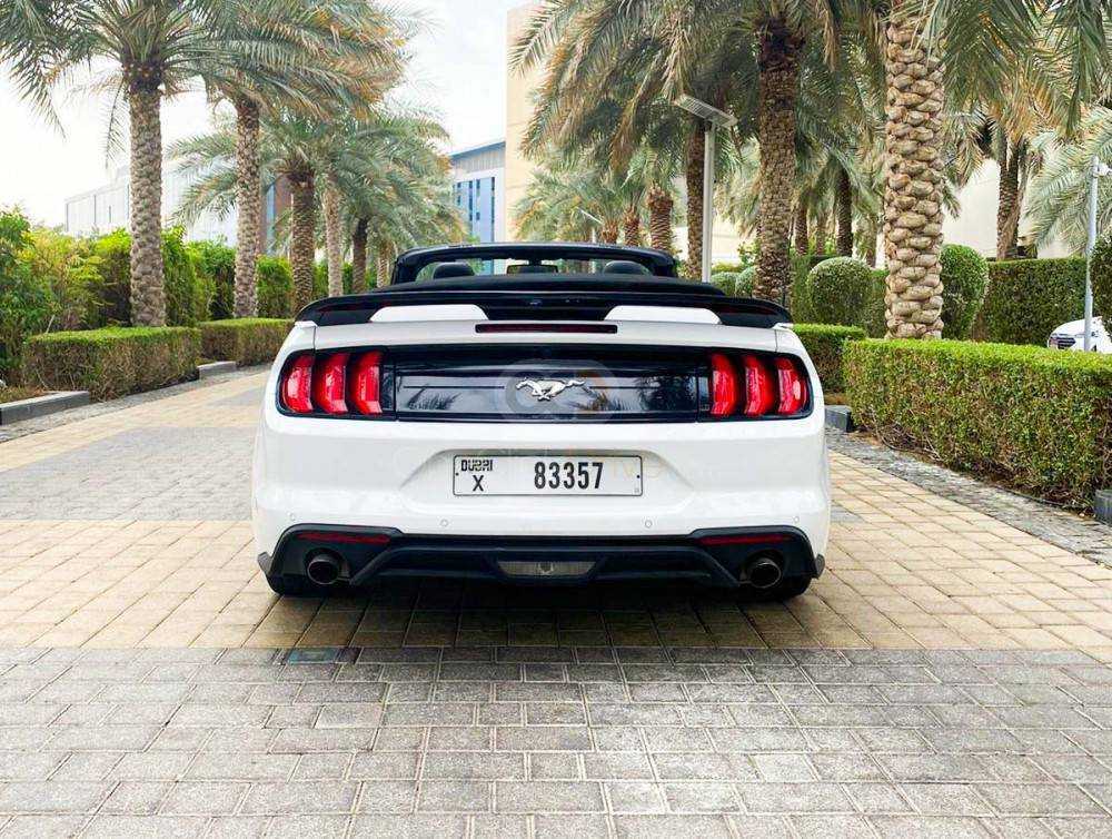 RENT FORD MUSTANG ECOBOOST CONVERTIBLE V4-pic_5