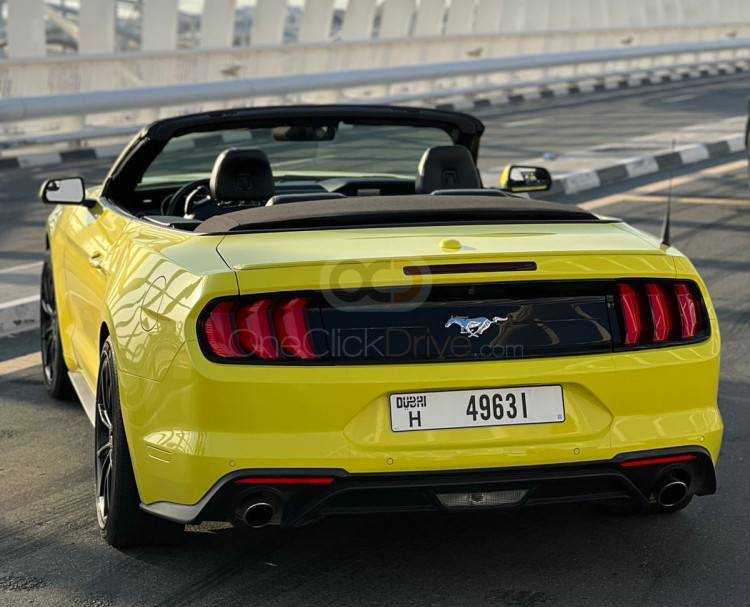 RENT FORD MUSTANG ECOBOOST CONVERTIBLE V4-pic_5