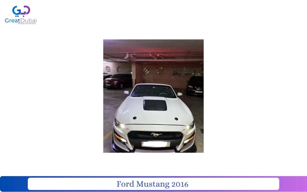 Ford Mustang 2016-pic_1