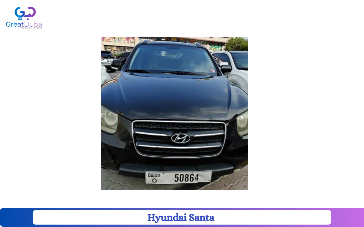 Hyundai Santa Fe 2009 in Dubai-pic_1