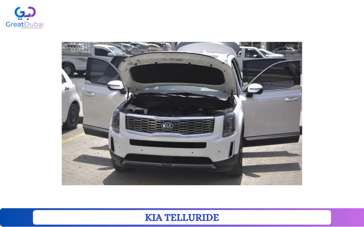 KIA TELLURIDE-pic_1