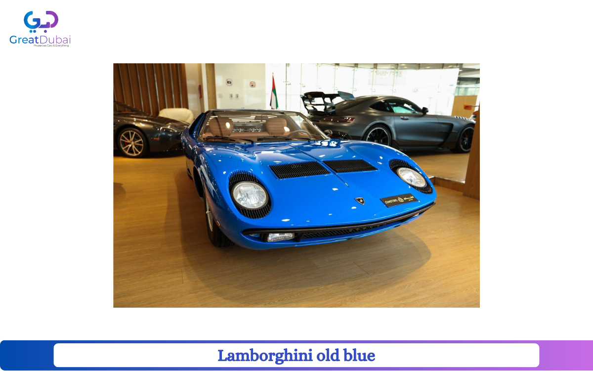 Lamborghini old blue-pic_1