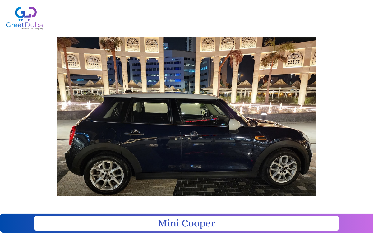 Mini Cooper-pic_1