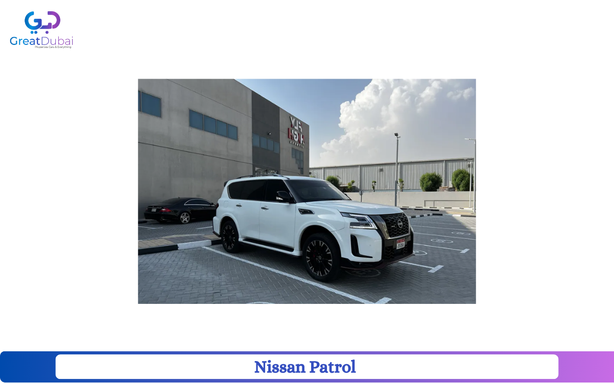 Nissan Patrol 2010, GCC-pic_1