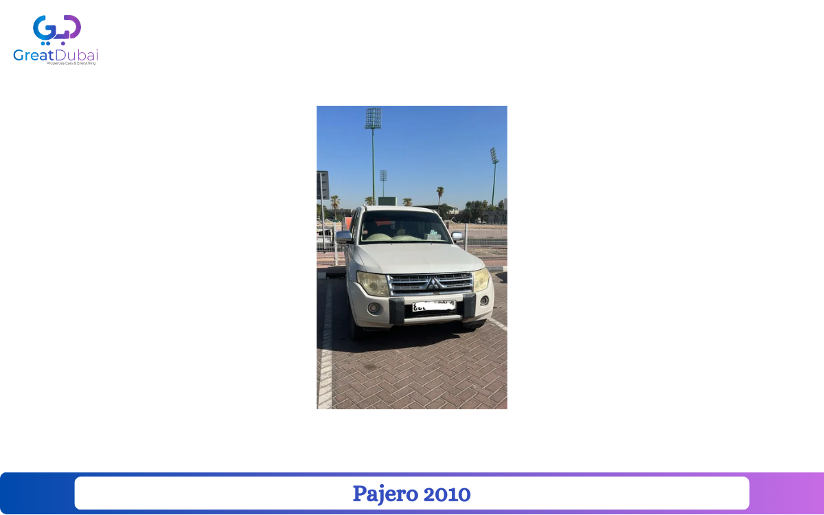 Pajero 2010-pic_1