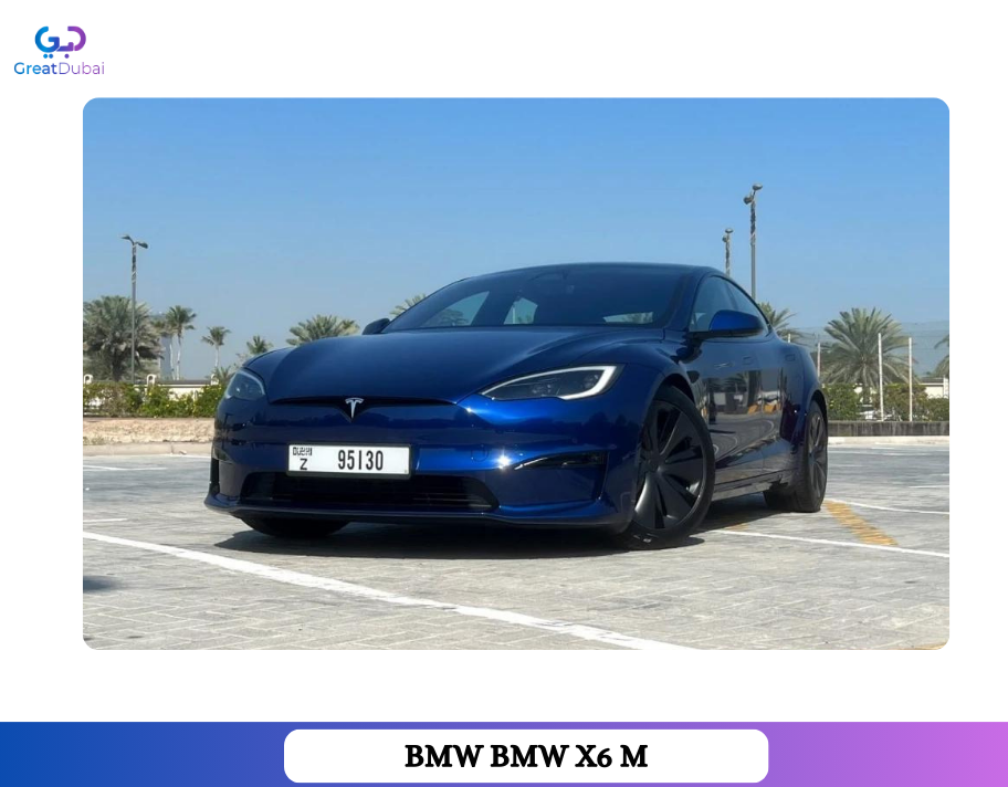 Rent 2023 Tesla Model S Plaid Electric Luxury Sedan-pic_1