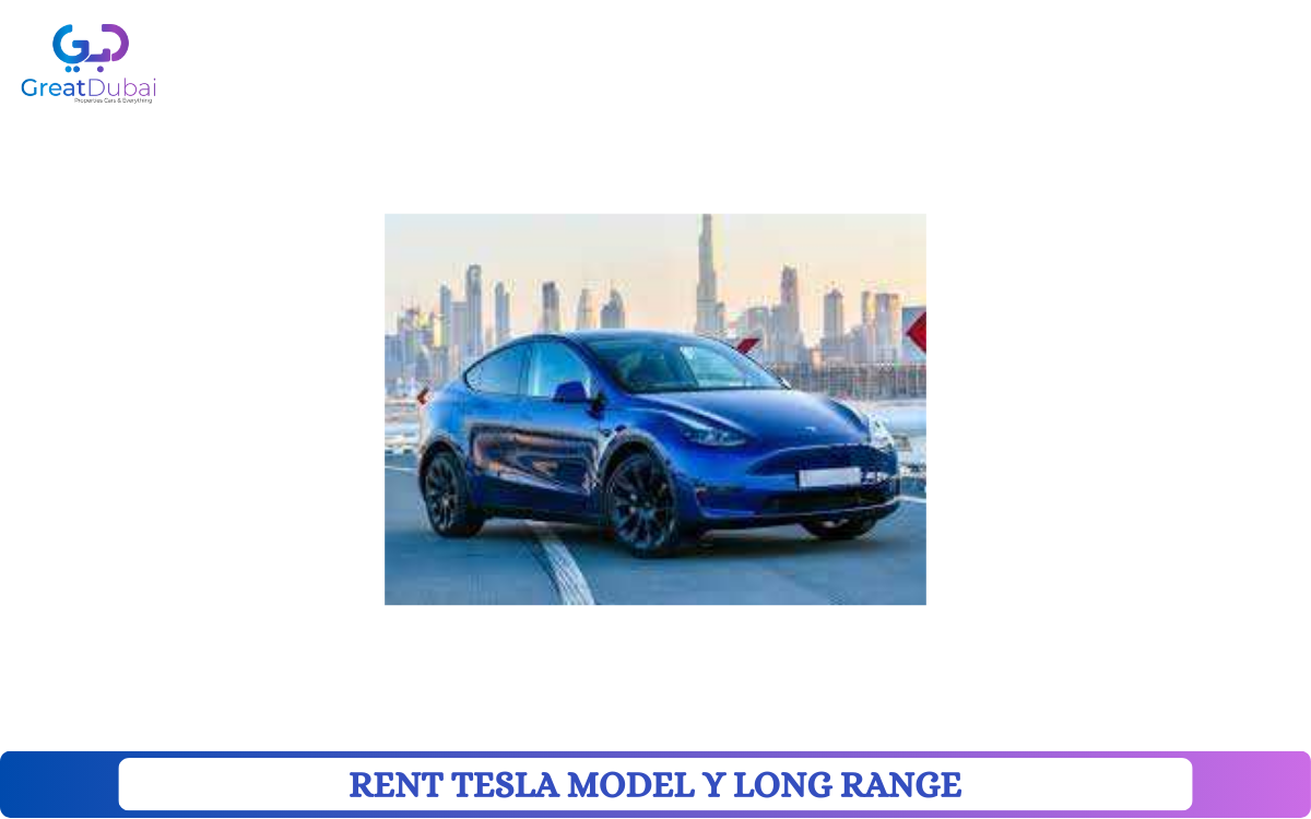 RENT TESLA MODEL Y LONG RANGE-pic_1