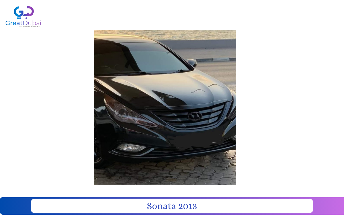 Sonata 2013 imported in good condition for sale-pic_1